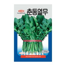 경신종묘 열무씨앗 춘동열무 30g
