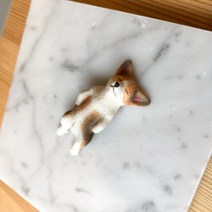 옆동네몰 웰시코기 강아지 미니어처, 벌러덩 낮잠코기1- 블랙