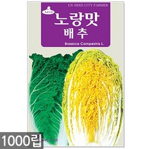 배추 노랑맛가을배추씨앗 1000립 배추씨앗, 1개