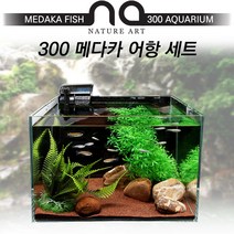 [NA] 300 메다카 어항세트 수족관