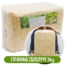단독무료배송 힐링 편백나무베딩 2.5kg, 1개
