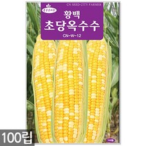 땅콩호박 씨앗 10립 / 땅콩호박씨앗 땅콩호박씨 호박씨앗 호박씨, 14_황백초당옥수수(100립)