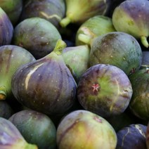 [캔들이케아] USA 휘기에 프래그런스 오일((D Type)무화과향 캔들 디퓨저 석고방향제재료, 50ml