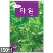 코리안더 씨앗 100립 / 허브씨앗 코리앤더 카모마일씨앗 허브씨 허브 고수씨앗 씨, 15_허브_타임(150립)