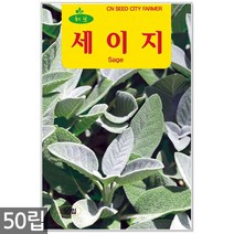 스피아민트 씨앗 2000립 / 허브씨앗 스피아민트씨앗 허브씨 허브 스피아민트씨 씨, 08_허브_세이지(50립)