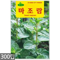 챠빌 씨앗 500립 / 허브씨앗 챠빌씨앗 허브씨 챠빌씨 처빌 허브 향신료, 06_허브_마조람(300립)