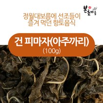 [본초마을] 건피마자(아주까리), 1개, 100g