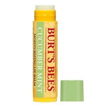 버츠비 모이스처라이징 립 밤, 큐컴버 민트, 1개