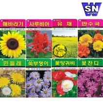 SN월드 씨앗 상추 방울토마토 당근 고추 양파 허브 새싹 꽃씨 야생화, ▶g야생화◀ ★(야생화-용담1000립)