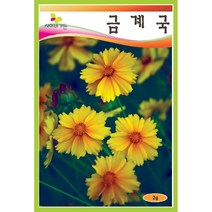 씨앗 금계국 2g