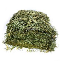 수입산 투펫 프리미엄 압축 티모시, 1kg, 1개
