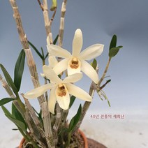 재희난 명보