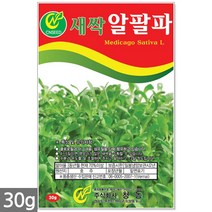 귀리 새싹 씨앗 50g / 새싹씨앗 귀리씨앗 귀리새싹씨앗 새싹귀리 귀리씨 캣그라스 캣글라스 고양이풀, 15_새싹씨앗_알팔파(30g)