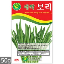 귀리 새싹 씨앗 50g / 새싹씨앗 귀리씨앗 귀리새싹씨앗 새싹귀리 귀리씨 캣그라스 캣글라스 고양이풀, 12_새싹씨앗_보리(50g)