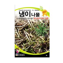 모칸도 세계 냉이나물 4g