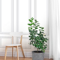 무지막지 풀바른 뮤럴벽지 웨인스콧 모던A화이트 W53cmXH2.35mX1ea (풀셑6장세트 중 1장) 가로벽53cm시공, 화이트그레이