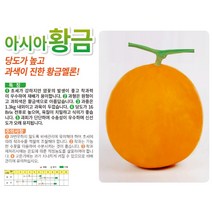멜론씨앗종자 아시아황금 멜론 (100립), 1개