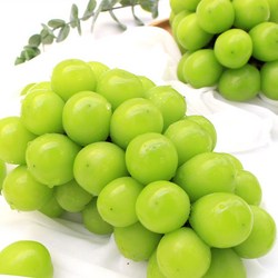 [딜픽]자연농장 당도선별 샤인머스켓 4-5수 2kg내외 망고포도(1수당 450g-500g내외)