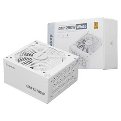 Segotep GM1250W 80PLUS골드 풀모듈러 ATX3.1 WHITE PSU PC 파워서플라이, 파워서플라이
