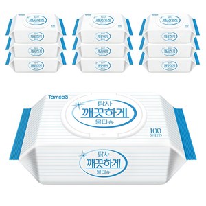 탐사 깨끗하게 도톰한 물티슈 캡형