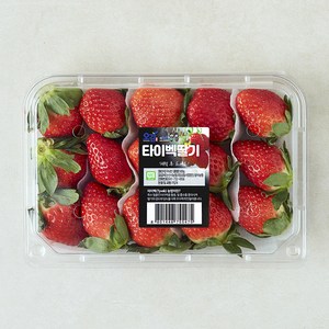 [로켓프레시] 충남오감 타이벡딸기