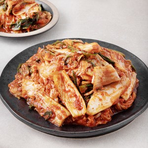 모산김치 갓담근 배추 겉절이 김치, 1.5kg, 1개