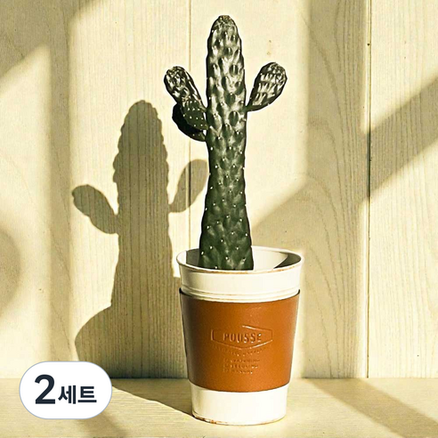 [로켓프레시] 프레시가든 만세선인장 빈티지가죽홀더 철제화분 세트