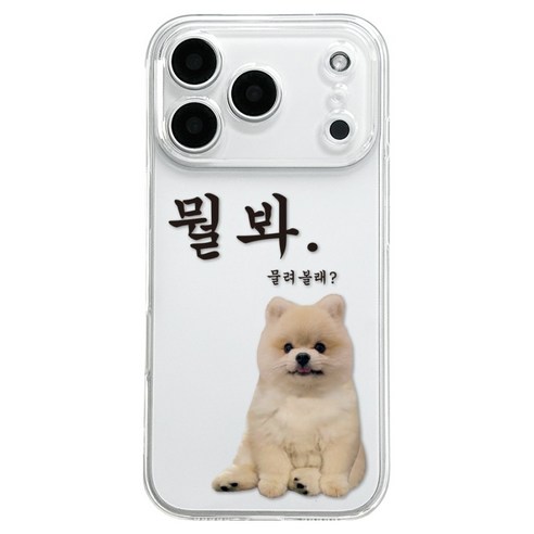 핫티몰 뭘봐 미르 휴대폰 케이스