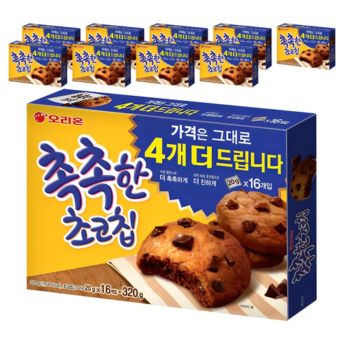 촉촉한초코칩