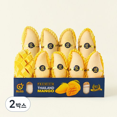 [로켓프레시] 이웃마을 태국산 남독마이 망고