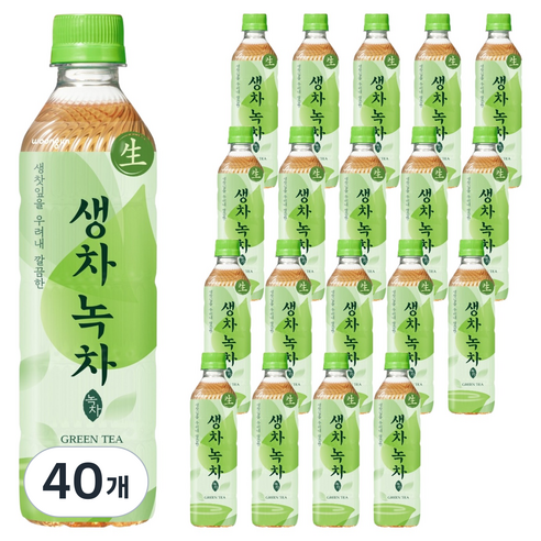 웅진 생차 녹차, 500ml, 40개