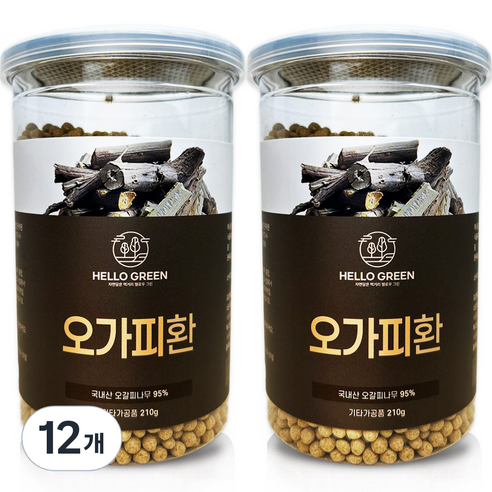 헬로우그린 오가피환