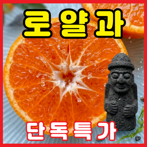[백화점납품] 타임특가 산지직송 제주 카라향
