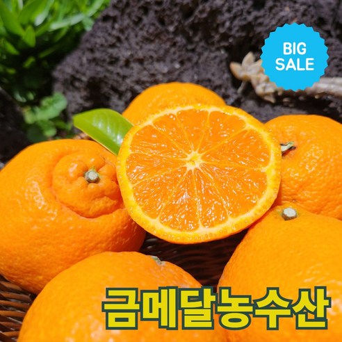 금메달농수산 15브릭스 프리미엄 제주 카라향, 1개, 5kg (중대과)