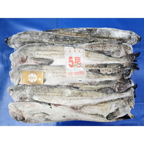 동태 5통 냉동 명태 9마리, 1개, 원물그대로