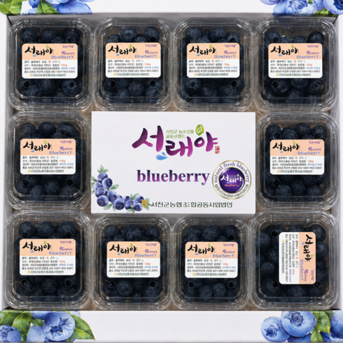 [단독특가] 고당도선별 국내산 생 블루베리, 1박스, 400g