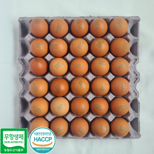 [JP팜] 난각번호 3번 HACCP인증 무항생제 대란 신선한 계란 30구, 1개, 30구