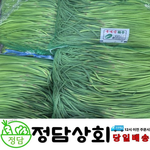 [ 정담상회 ] 국내산 햇 마늘쫑 마늘종 500g, 1kg, 2kg, 3kg, 5kg 내외, 1박스, 5kg