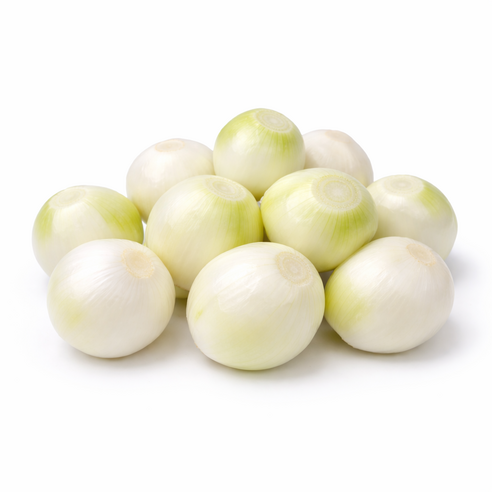 국산 깐양파 공장직영, 1개, 1개, 10kg(대)