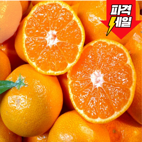 [최고급엄선] 꿀이뚝뚝 고당도 로얄과 카라향, 1박스, 3kg 로얄과