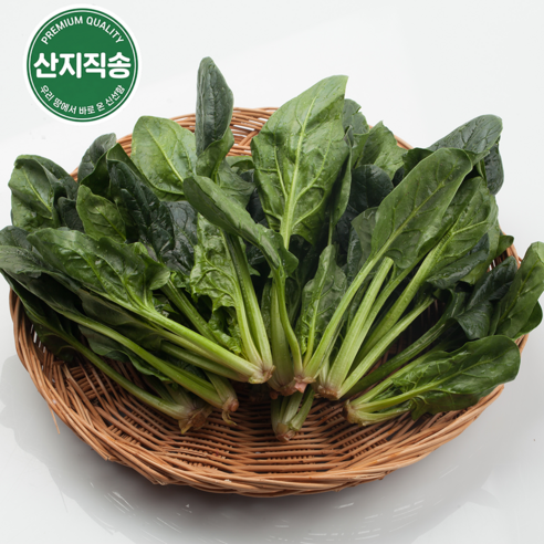 [당일수확] 국내산 남해 해풍 시금치 (뿌리까지 달콤한 명품 시금치) 산지직송, 1개, 1kg