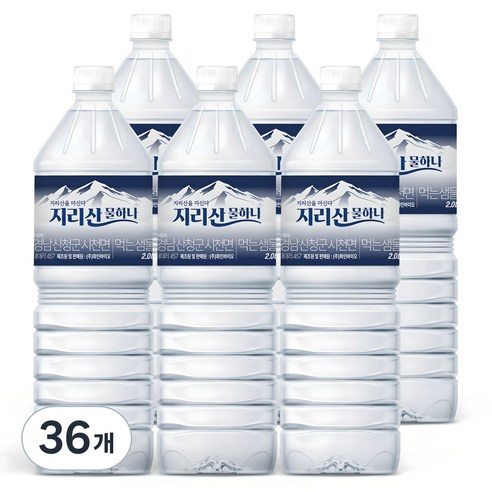 물하나 지리산 생수, 2L, 36개