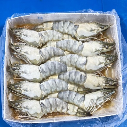 모조나인 블랙타이거 몸통 껍질벗긴  새우 10미