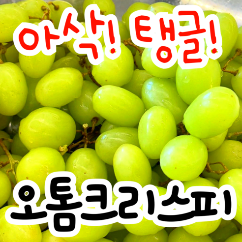[호텔납품용] 초고당도 아삭탱글 씨없는 애플포도 오톰크리스피