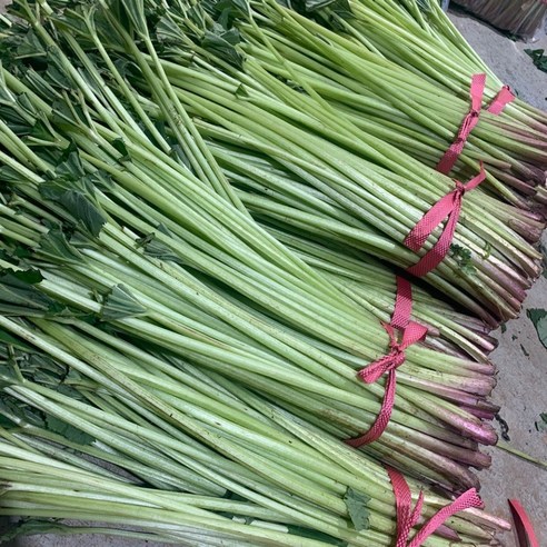 오병이어농산 국내산 싱싱한 머위대 1kg,2kg, 1단, 머위대 2g(상품), 1kg