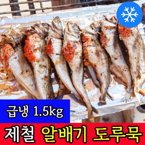 동해 자연산 급냉 겨울제철 알배기 도루묵 묵호항, 1개, 1.5KG