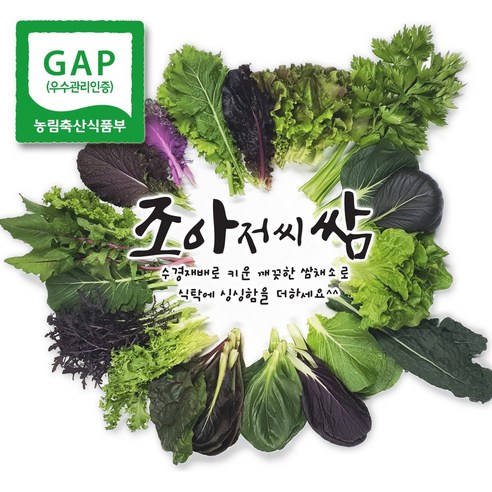 조아쌈 GAP 모듬 쌈채소 샐러드 야채 당일 수확, 당일 발송 상주 로메인 겨자 케일 외10종이상, 1개
