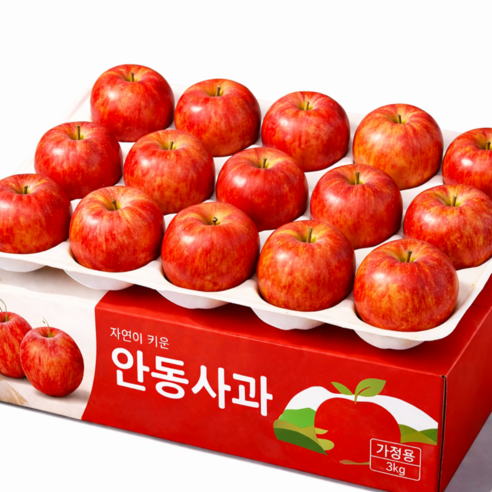 [산지특판] 안동 꿀사과, 가정용 중대과 햇부사