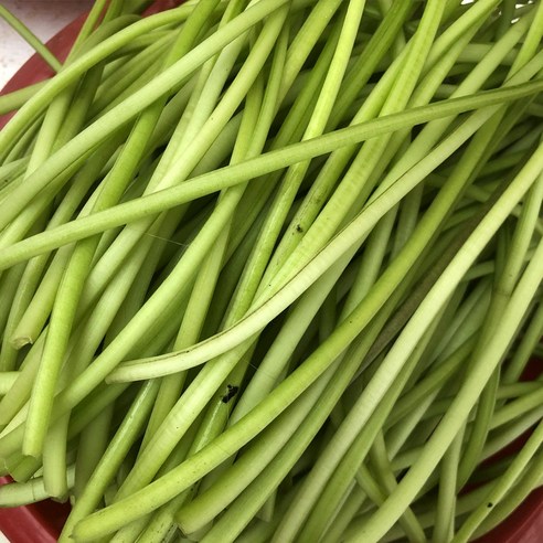 산지직송 국산 고구마 순 줄기, 1박스, 1kg