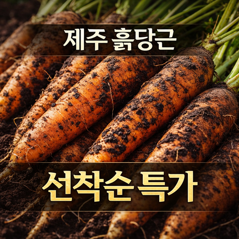 [초특가] 제주 구좌 햇 흙당근 아삭달큰 고당도 산지직송